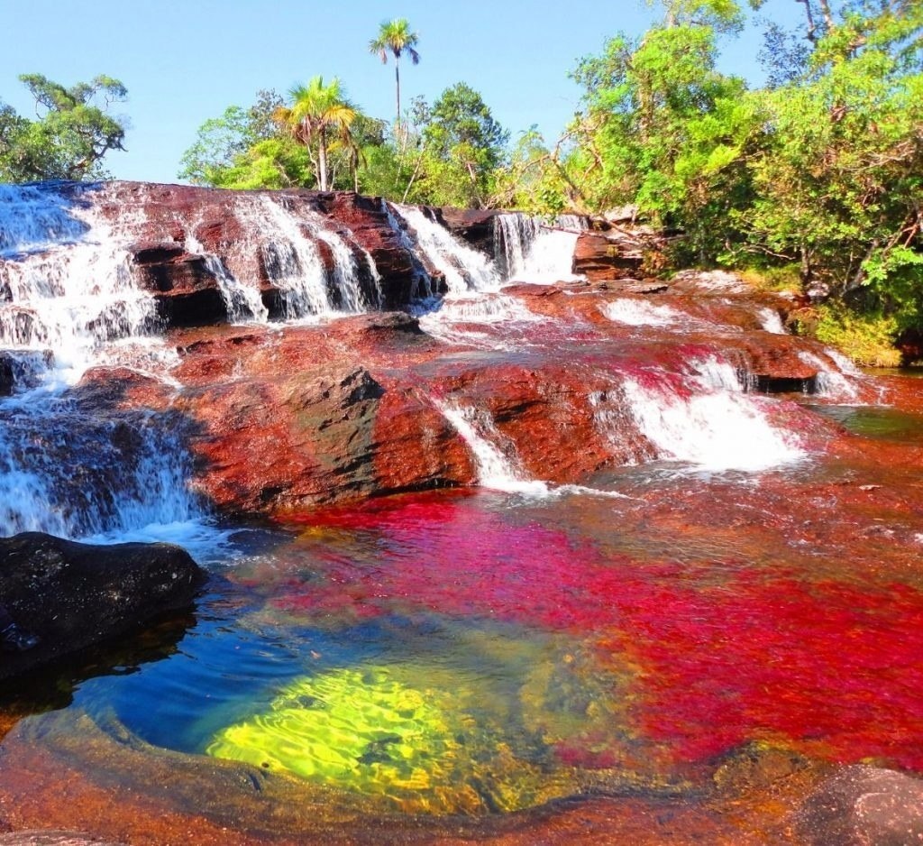  ,    (Cao Cristales).      , ... - 4