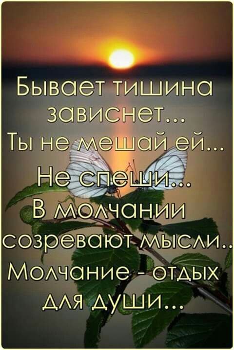   - 1  2022  23:00