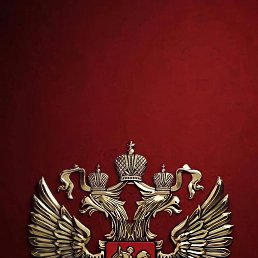 ���������, ����������, 48 ���