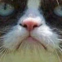 Dean, �����������, 58 ���