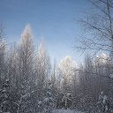���� ������, �������, 58 ��� - ��������� 17 ������� 2022 � ������ �����