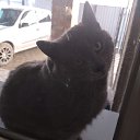 ���� ������, �������, 42 ���� - ��������� 11 ������� 2023