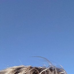 �����, �����������