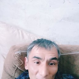 , 49 , 