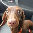 ���� ������, ����, 53 ���� - ��������� 3 ������ 2023 � ������ ���� ����������