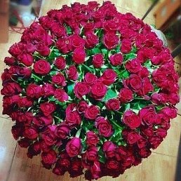 ���� ������������, �����, 28 ��� - ��������� 21 ������ 2022