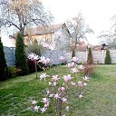 ���� Oleg, ������, 54 ���� - ��������� 7 ��� 2022 � ������ ���� ����������