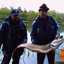 ���� �����, �������, 66 ��� - ��������� 2 ������� 2022