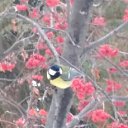 11.2022 �� ������� �������