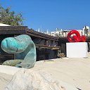 ���� Dima, �����, 61 ��� - ��������� 10 ������� 2022 � ������ ������ ����� ���. ����.�