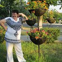 ���� ���������, ������, 54 ���� - ��������� 18 ������� 2023