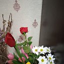 ���� ����, �����������, 55 ��� - ��������� 15 ����� 2022 � ������ ���� ����������