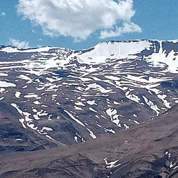 �����, ������, 56 ���