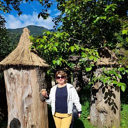 ������, �������, 51 ���