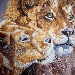 �����, ������, 65 ���