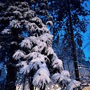 ���� �������, ���������, 63 ���� - ��������� 20 ������� 2022 � ������ ������ ��������