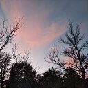 ���� �����, �����������, 50 ��� - ��������� 5 ������� 2022 � ������ ���� ����������