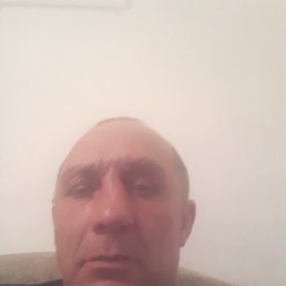 , 51 , 