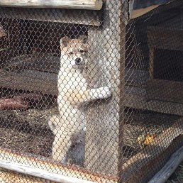 ���� ������, ������, 71 ��� - ��������� 14 ������� 2022