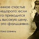 ���� �����, ������, 55 ��� - ��������� 26 ������� 2022 � ������ ���� ����������