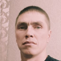 ���, ������, 41 ���