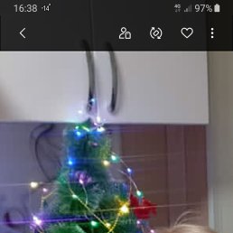 ���� ������, ���������, 60 ��� - ��������� 4 ������� 2023