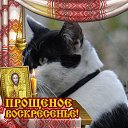 ���� ���������, ������, 62 ���� - ��������� 23 ������ 2022