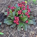 ���� ������, ������, 67 ��� - ��������� 16 ������� 2023