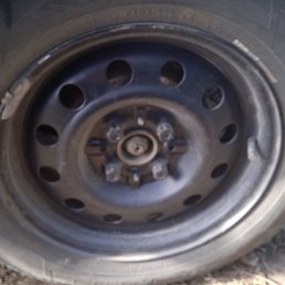 ���� ���������, ���������, 43 ���� - ��������� 10 ������� 2023