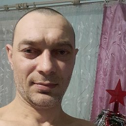 ����, ��������, 41 ���