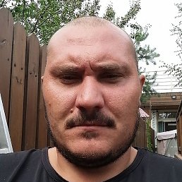 �������, �����, 36 ���