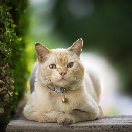 ���� ������, ������, 60 ��� - ��������� 16 ������� 2023