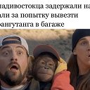 ���� � ������� 21.102022 ����� �� �����, ����, 105 ��� - ��������� 1 ������� 2022 � ������ ���� ����������
