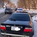 ���� �����, ���, 41 ��� - ��������� 10 ������� 2023