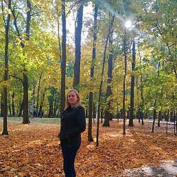 �������, �����, 40 ���