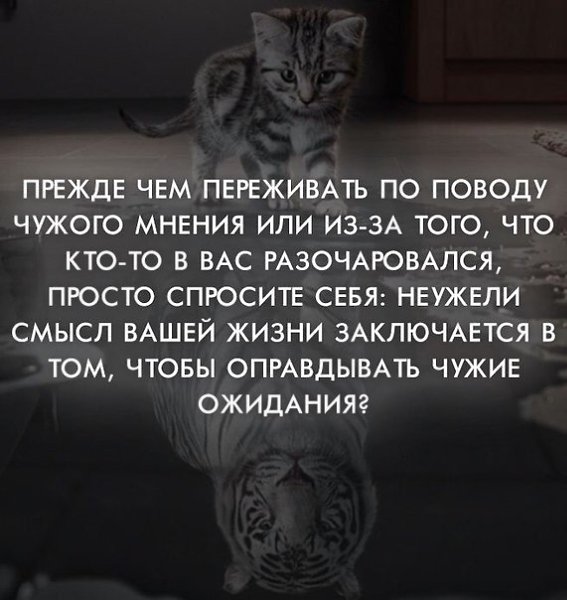 ������� ������ ����������� - 4 ������ 2022 � 08:54