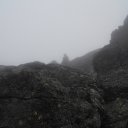  ***L***,   -  2  2022    ܻ