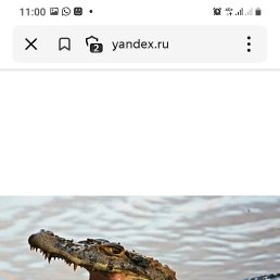 ���� �������, ������������, 61 ��� - ��������� 5 ������� 2022