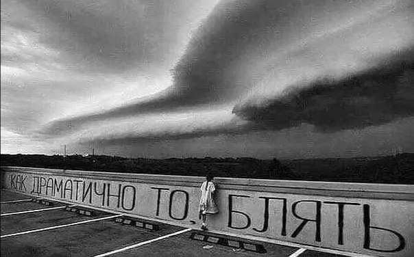 ***Victoria Viktorovna*** - 8 мая 2022 в 17:07