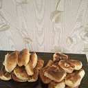 ���� ���������, �����-���������, 45 ��� - ��������� 19 ����� 2022