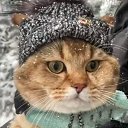 ���� �������, �����������, 71 ��� - ��������� 27 ������ 2022