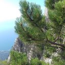  Piratka,  -  18  2022    