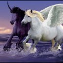 ���� Isa, �����, 45 ��� - ��������� 2 ������� 2023 � ������ ���� ����������