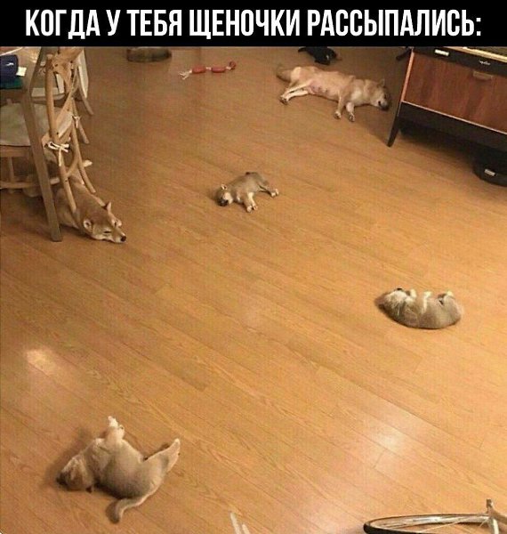    - 27  2022  02:12