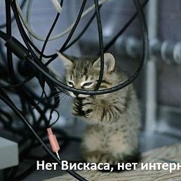 ����, �����, 36 ���