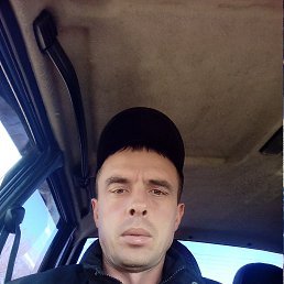 ���� �����, ��������, 42 ���� - ��������� 15 ������� 2022