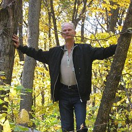 �������, �����, 86 ���