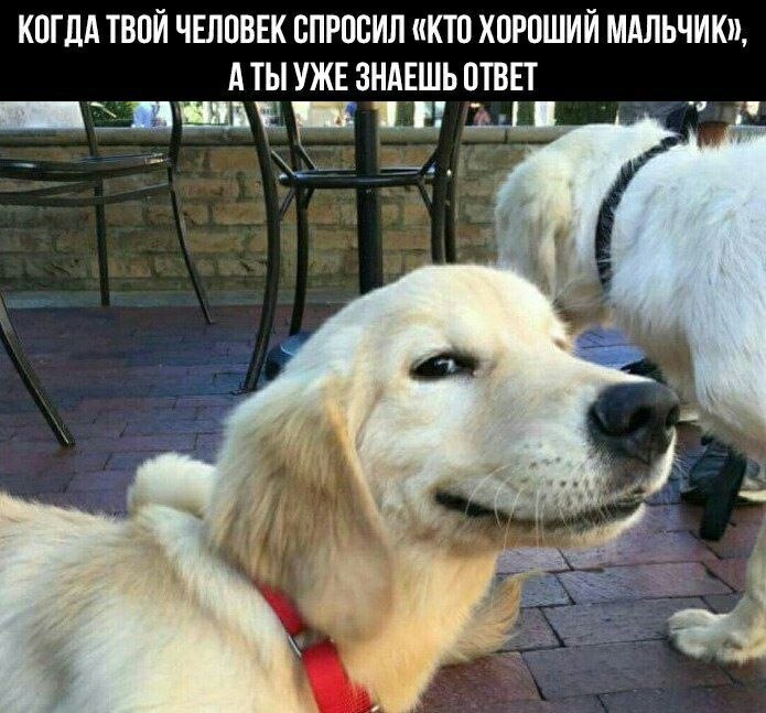    - 21  2022  09:15