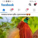 ���� Deny, ��������, 32 ���� - ��������� 4 ������� 2023 � ������ ���� ����������