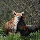 ������ ������� �� ���������, �� ���������� �� ������ � ���� �� ������� ������ ��������